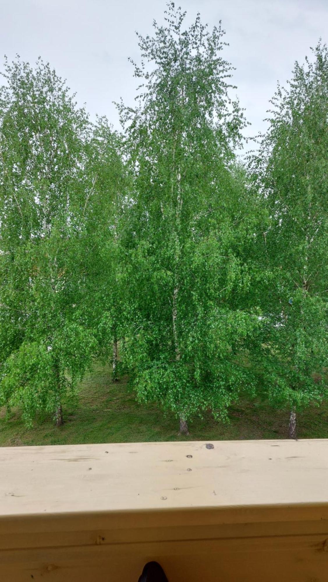 Apartamentai Gertruda 德拉肯恩凯 外观 照片